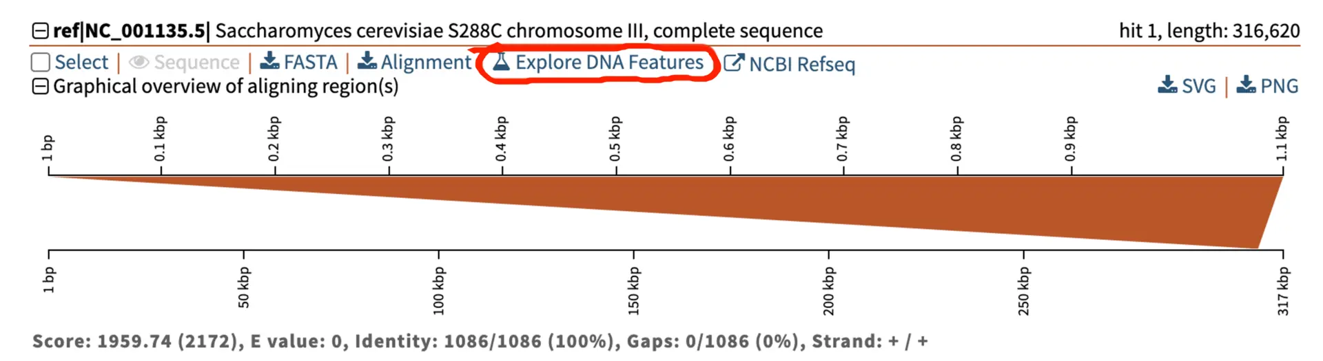 Once you've performed a BLAST search you can access the DNA visualizer with the 'Explore DNA Features' tab, which will analyse your hit sequence.