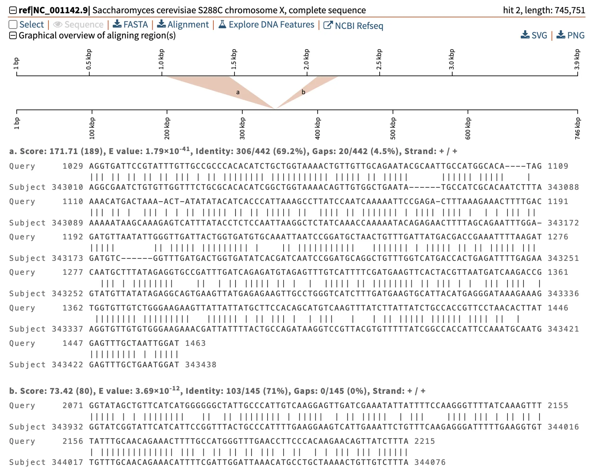 Interpreting BLASTN nucleotide BLAST results