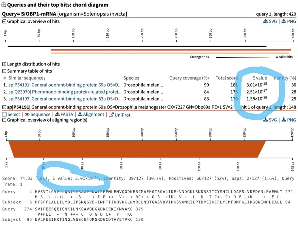 BLAST outputs alignment hits with different metrics. One of these is the E-value, which is an expected value of how likely we are by chance to see the same hit within our search.