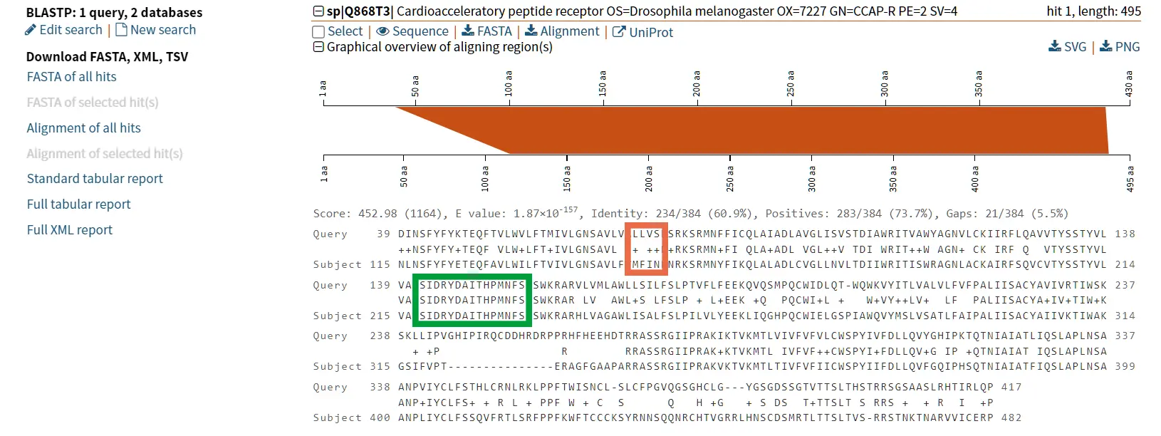 The figure shows an alignment between two cardioactive peptides (CCAP) receptors. In the generated alignment, identity is highlighted in green and similarity is highlighted in orange. + indicates similar amino acids