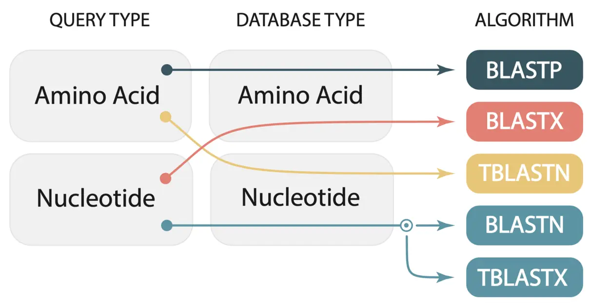 Which BLAST algorithm for which combination of search and database – aminoacid nucleotides