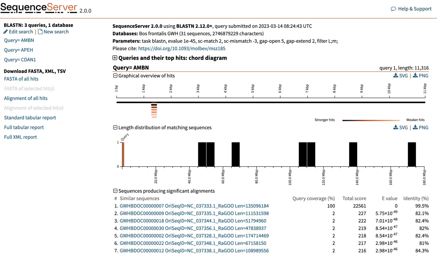 Identifying gene sequences in a new genome assembly using BLAST