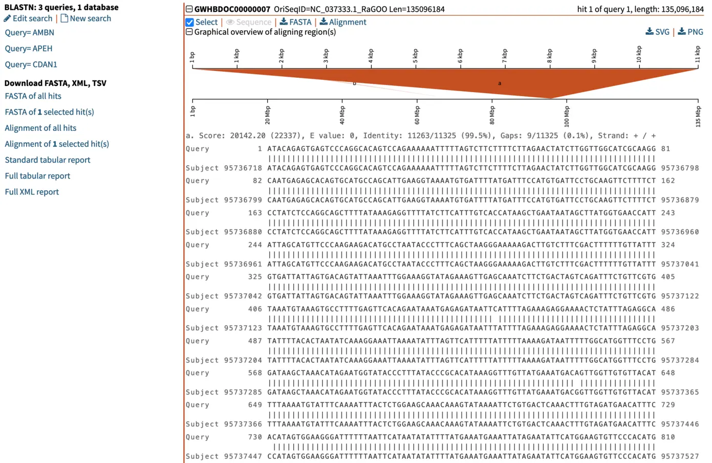  One gene mapped to one chromosome – pairwise BLAST alignment