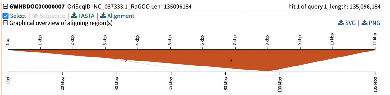  Pairwise alignment of BLAST hit to query