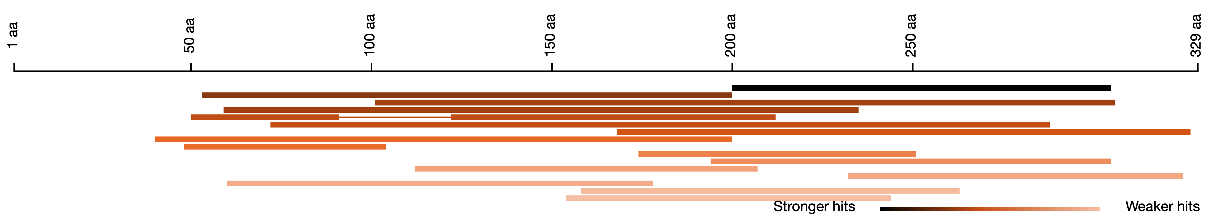 How hit sequences align to the BLAST query