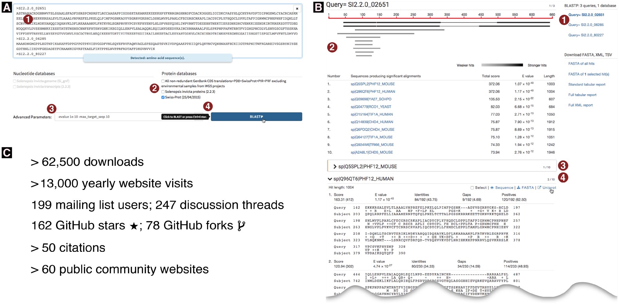 (A) Partial screenshot of the query interface. Numbers circled in red highlight the steps involved and some specific features. (1) Three or more sequences were pasted into the query field (typewriter font; only the identifier is visible for the third sequence); a message confirms to the user that these are amino acid sequences. (2) The Swiss-Prot protein database was the first database to be selected. As a result, additional database selections are limited to protein databases; nucleotide databases are disabled. (3) Optional advanced parameters were entered which constrain the results to the ten strongest hits with E-values stronger than 10−10. (4) The BLAST button is automatically activated and labeled “BlastP” as this is the only possible basic BLAST algorithm for the given query-database combination. As the user’s mouse pointer hovers over the BlastP button, a tooltip indicates that a keyboard shortcut exists for this button. (B) Partial screenshot of a Sequenceserver BLAST report. An interactive version of this figure is online at [https://sequenceserver.com/paper/resultsinteractive/](https://sequenceserver.com/paper/resultsinteractive/) (last accessed August 25, 2019). Three amino acid sequences were compared against the Swiss-Prot database using BlastP with an E-value cutoff of 10−10 and keeping only the ten strongest hits per query. This screenshot shows a portion of the results for the first query. Numbers circled in red highlight some specific features of this report. (1) An index overview summarizes the query and database information and provides clickable links to query-specific results. (2) Results for the first query are shown. These include a graphical overview indicating which parts of the query sequence align to each hit, a tabular summary of all hits, and alignment details for each hit. (3) The first hit is selected for download; its alignment details have been folded away. (4) The user is studying the second hit; the mouse pointer hovers over the link to the hit’s UniProt page. (C) Sequenceserver usage as of June 11, 2019. These include download statistics from https://rubygems.org/gems/sequenceserver, Google Analytics statistics for https://sequenceserver.com, and citation statistics from https://app.dimensions.ai/details/publication/pub.1085102830, and GitHub statistics from https://github.com/wurmlab/sequenceserver.
